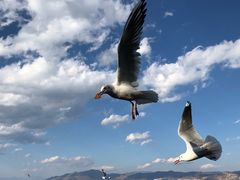 -水上人家民俗餐厅(洱海公园店)