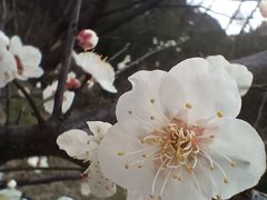 -同里国家湿地公园