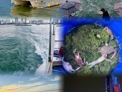 -巧克力渔家.小船海鲜胶东菜(万平口店)