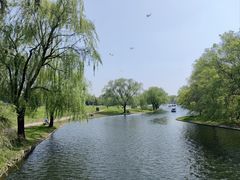 -上海共青森林公园