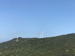 -东澳岛