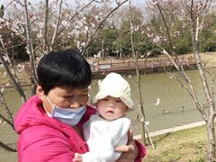 -上海海湾国家森林公园