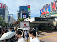 -涩谷区