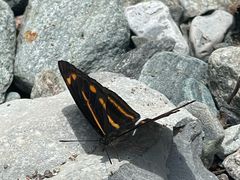 -西岭雪山大飞水景区