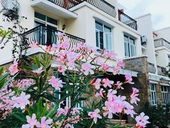 -江门古兜温泉小镇