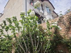 -上海蔡元培故居陈列馆