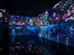 -中国湿地博物馆