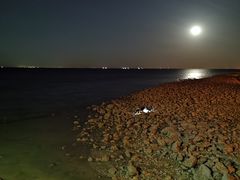 -东疆建设开发纪念公园