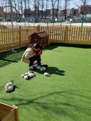 -萌宠亲子动物乐园(槐房万达店)