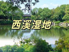 -西溪国家湿地公园