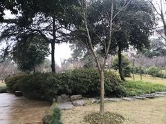 -南山植物园