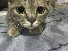 -子乐宠物医院
