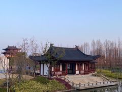 -江心屿景区