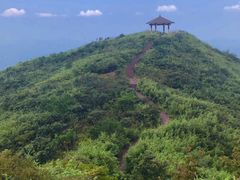 -大围山国家森林公园