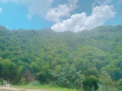 -将军关探险漂流