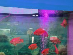 -雅悦齿科(顾村公园店)