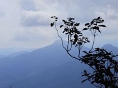 -七仙岭温泉国家森林公园