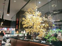 -吉布鲁牛排海鲜自助(成都大悦城店)