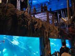 -华夏文旅海洋公园