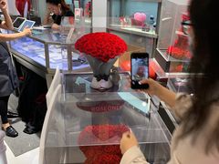 -ROSEONLY诺誓(广州K11店)