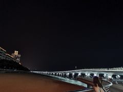 -演武大桥观景平台