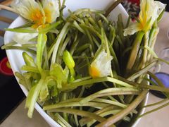 -蘑统田下·野生菌火锅