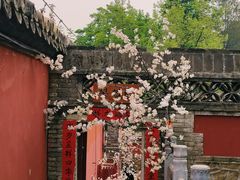 -潭柘寺景区