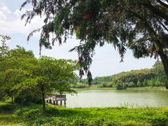 -福建鲤鱼洲酒店