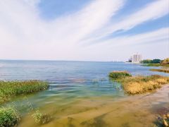 -观澜小洱海