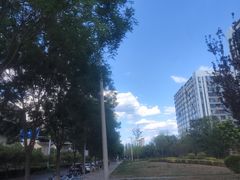 -鉳里小馆·烤鱼·大虾·烧鸡公