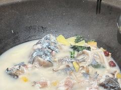 -鲜潭蒸汽石锅鱼(五道口购物中心店)