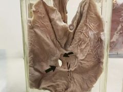 -四川大学(华西校区)