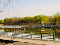 -大兴滨河森林公园