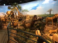 -陕西自然博物馆