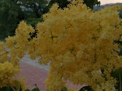 -北京植物园南门售票处