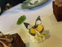 -蝶舍·MAISON PAPILLON