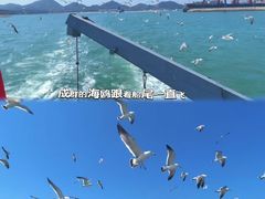 -海驴岛(荣成市)
