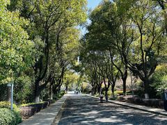 -昆山城市生态森林公园