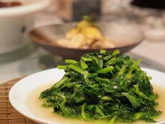 油香豆苗尖-东方明珠老上海8号餐厅(东方明珠广播电视塔店)