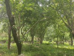 -武汉姚家山旅游景区