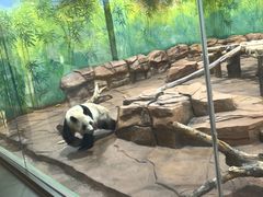 -秦皇岛野生动物园
