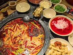 -蜀大侠火锅(建设路第五大道店)