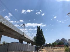 -大连凯洋马术俱乐部有限公司