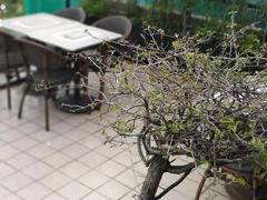 -老别墅西餐厅.酒馆(西堤店)