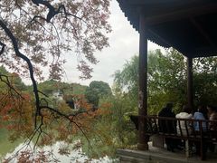 -八大山人梅湖景区