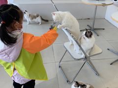 -怪兽屋·羊驼·猫咖·狗咖(俊华广场店)