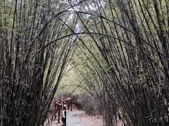 -卡定沟景区