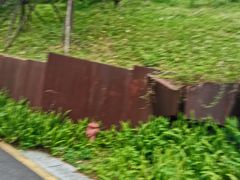 -飞凤山奥体公园
