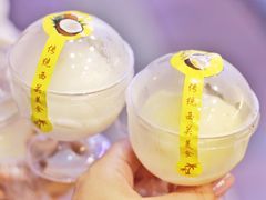 椰子雪糕-顺记冰室(宝华路店)