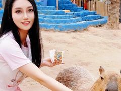 -灵玲国际马戏城